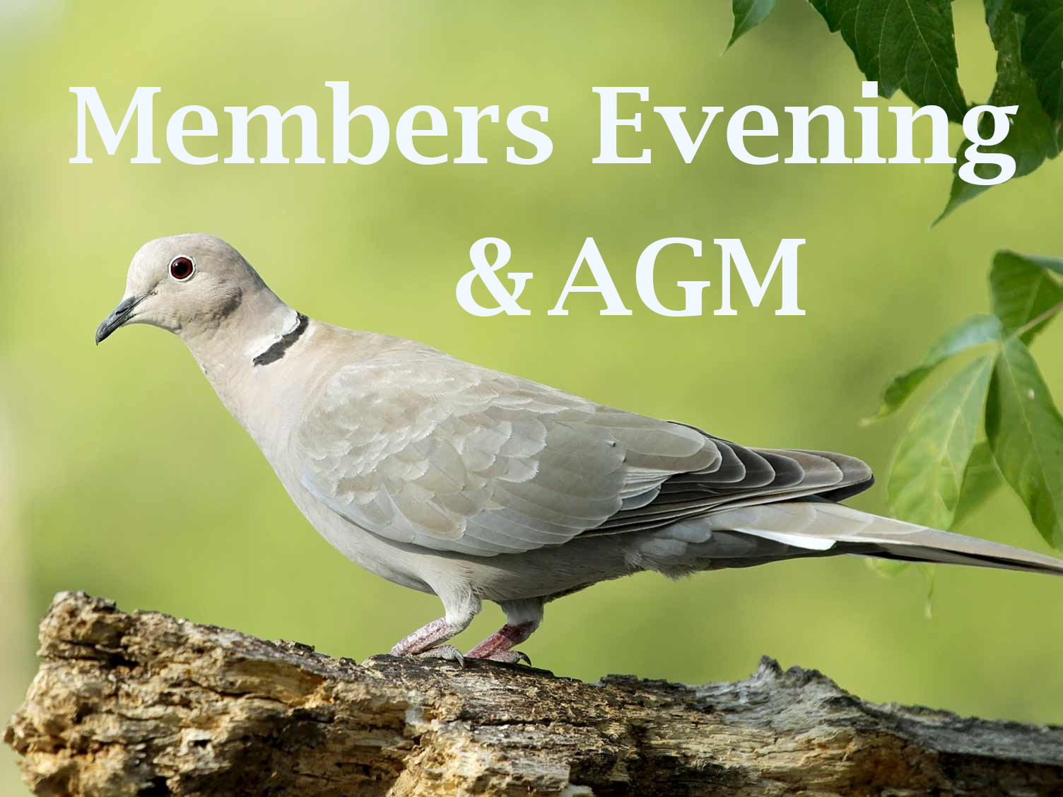 AGM Members Evening