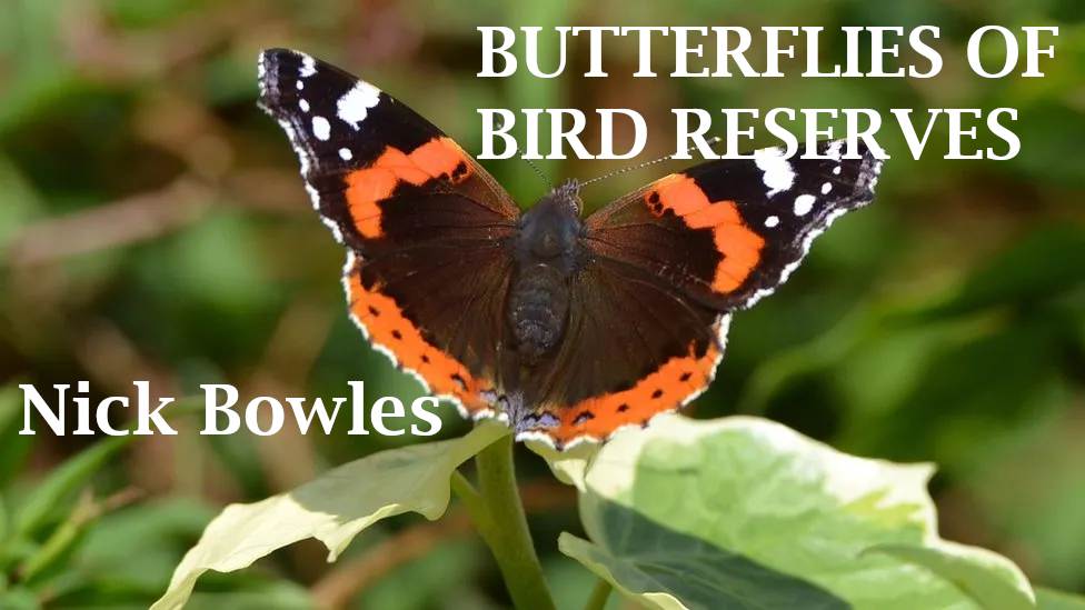 Owl Conservation